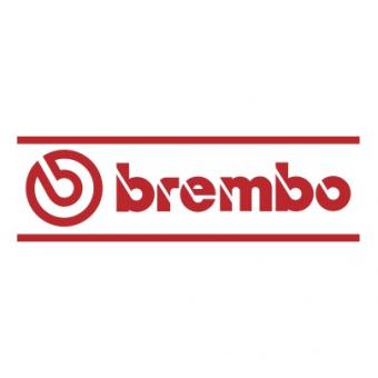 Brembo 50cm | silber